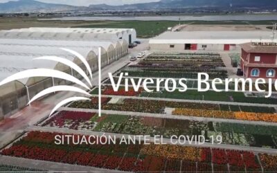 Situación ante el Covid-19